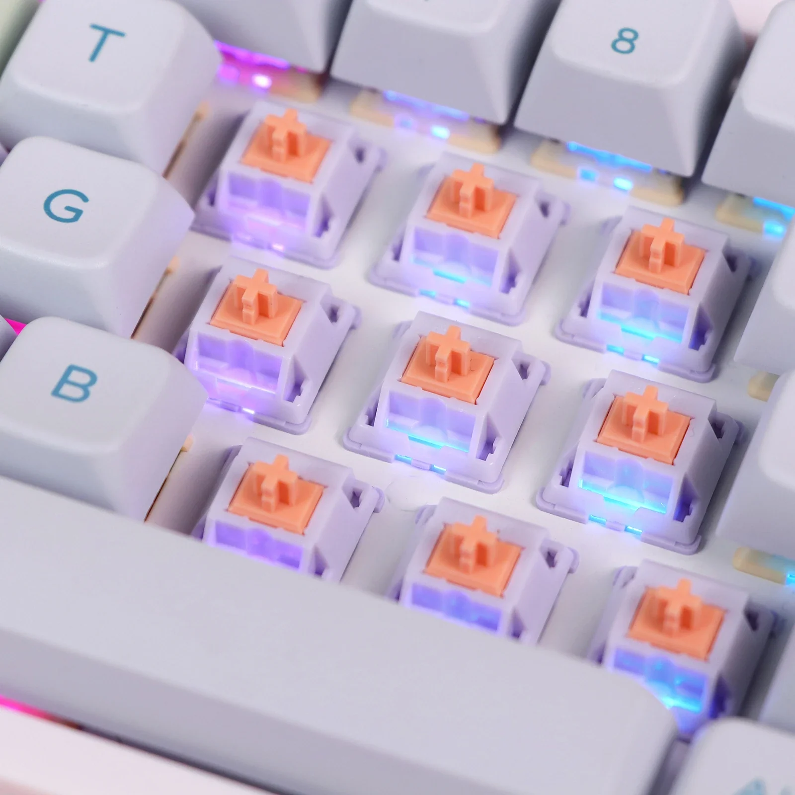 Thumbnail 31