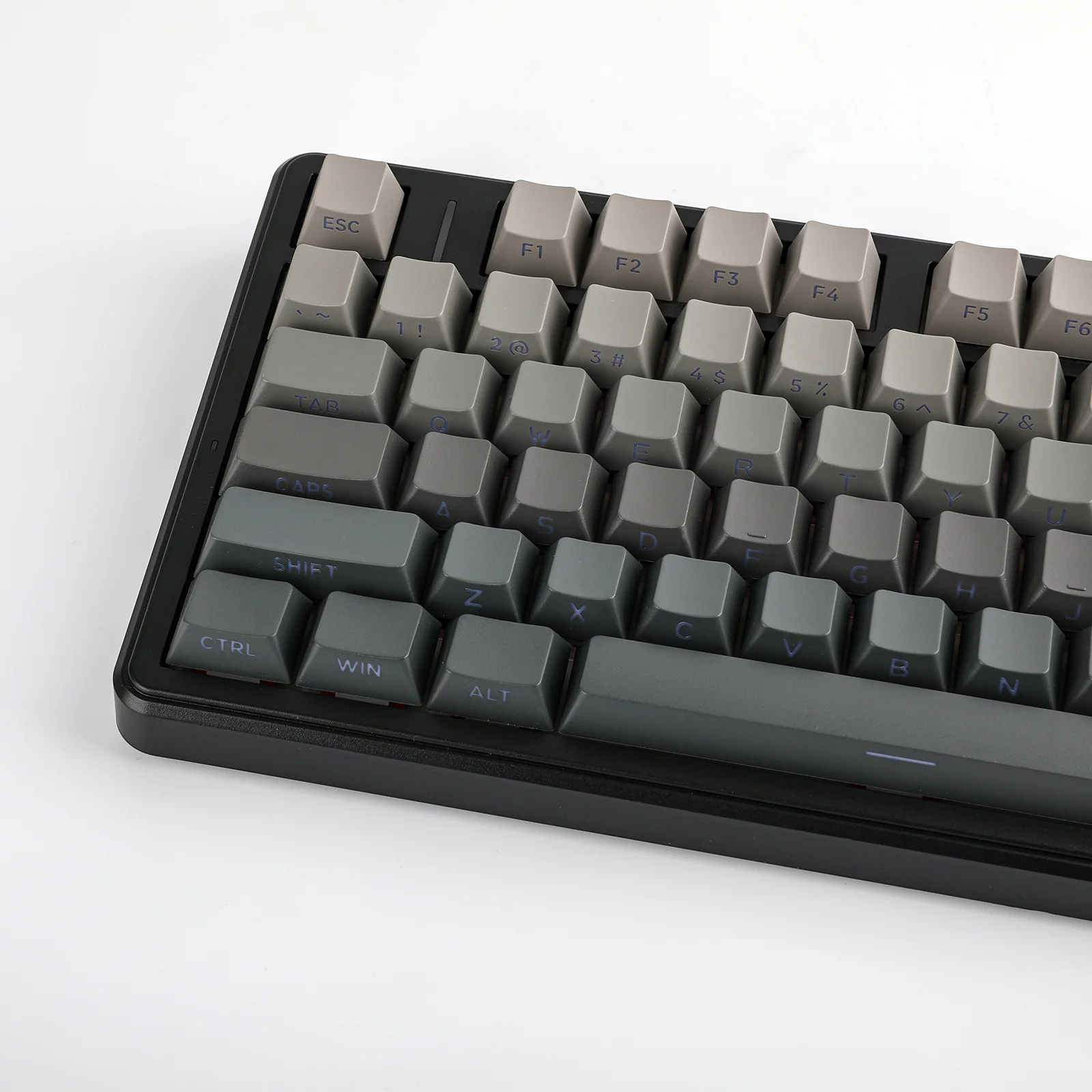 Thumbnail 55